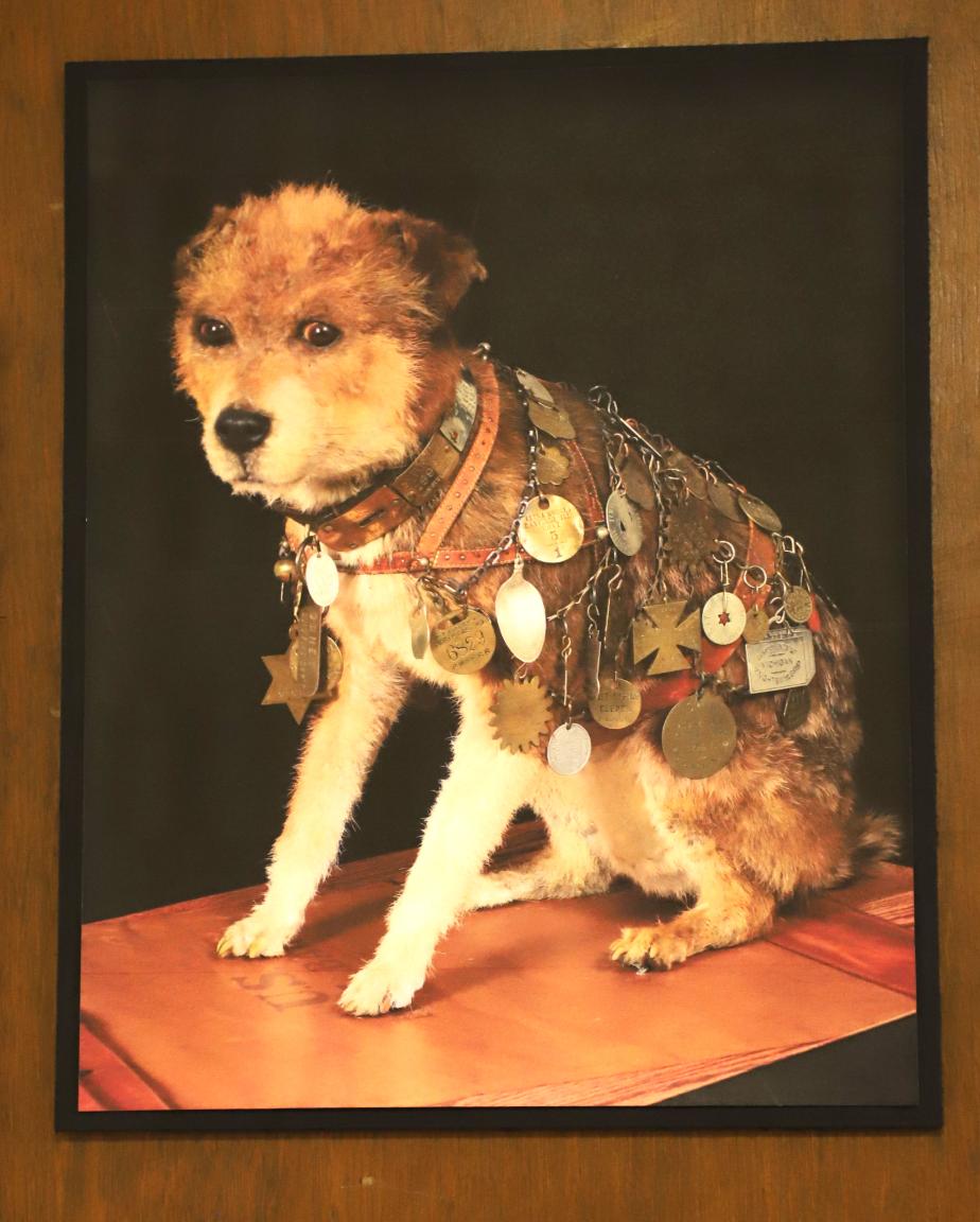 NH Telephone Museum - Railroad Communications Exhibit - OWNEY the Mail Dog