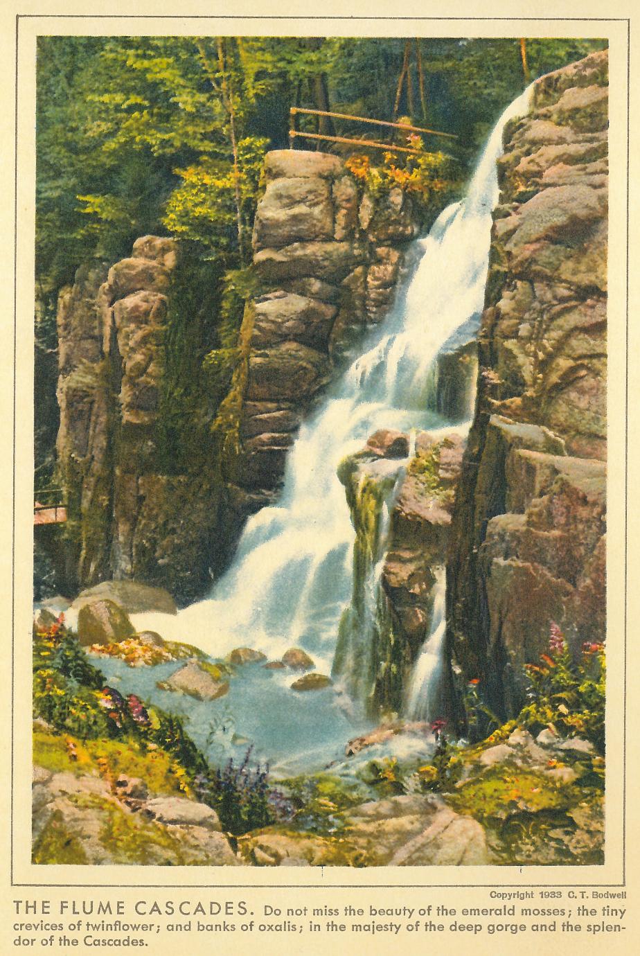 Flume Cascade, Franconia Notch (1933)