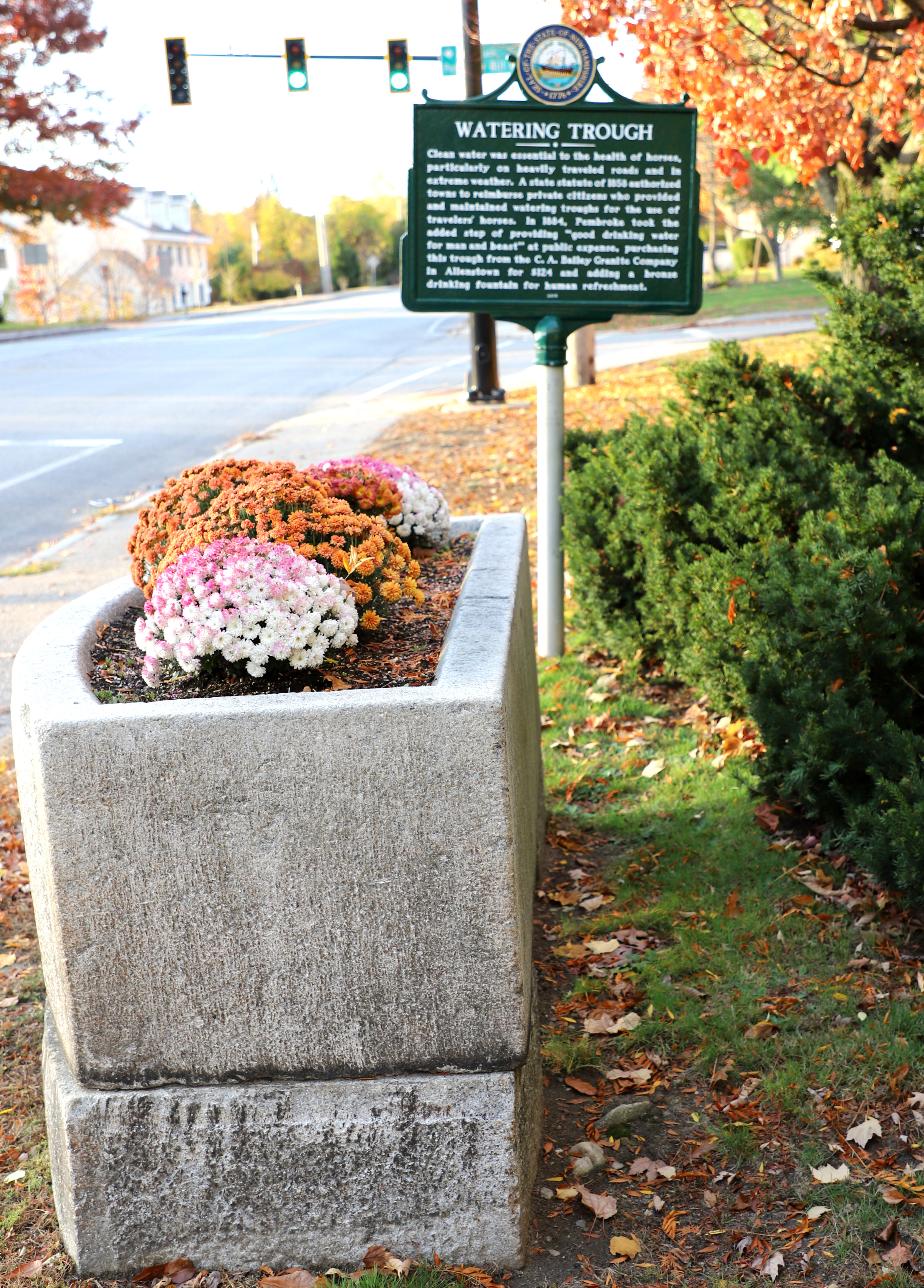 Pembroke NH Watering Trough Historical Marker #250