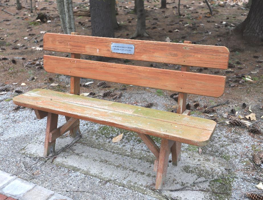 Wooden Bench - Verne M Greeley Vietnam War Casualty - Londonderry NH