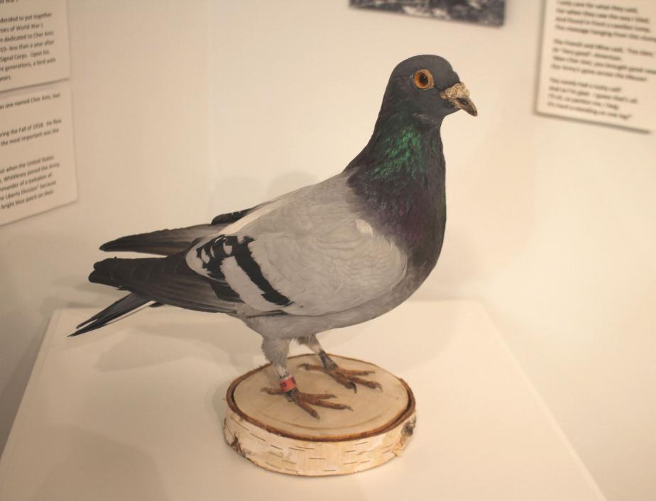 New Hampshire Telephone Museum - Military Telephones - Carrier Pigeon