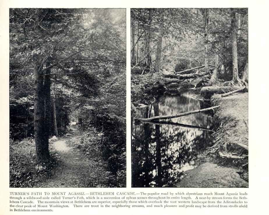 Turner's Path to Mount Agassiz - Bethlehem NH (1908)