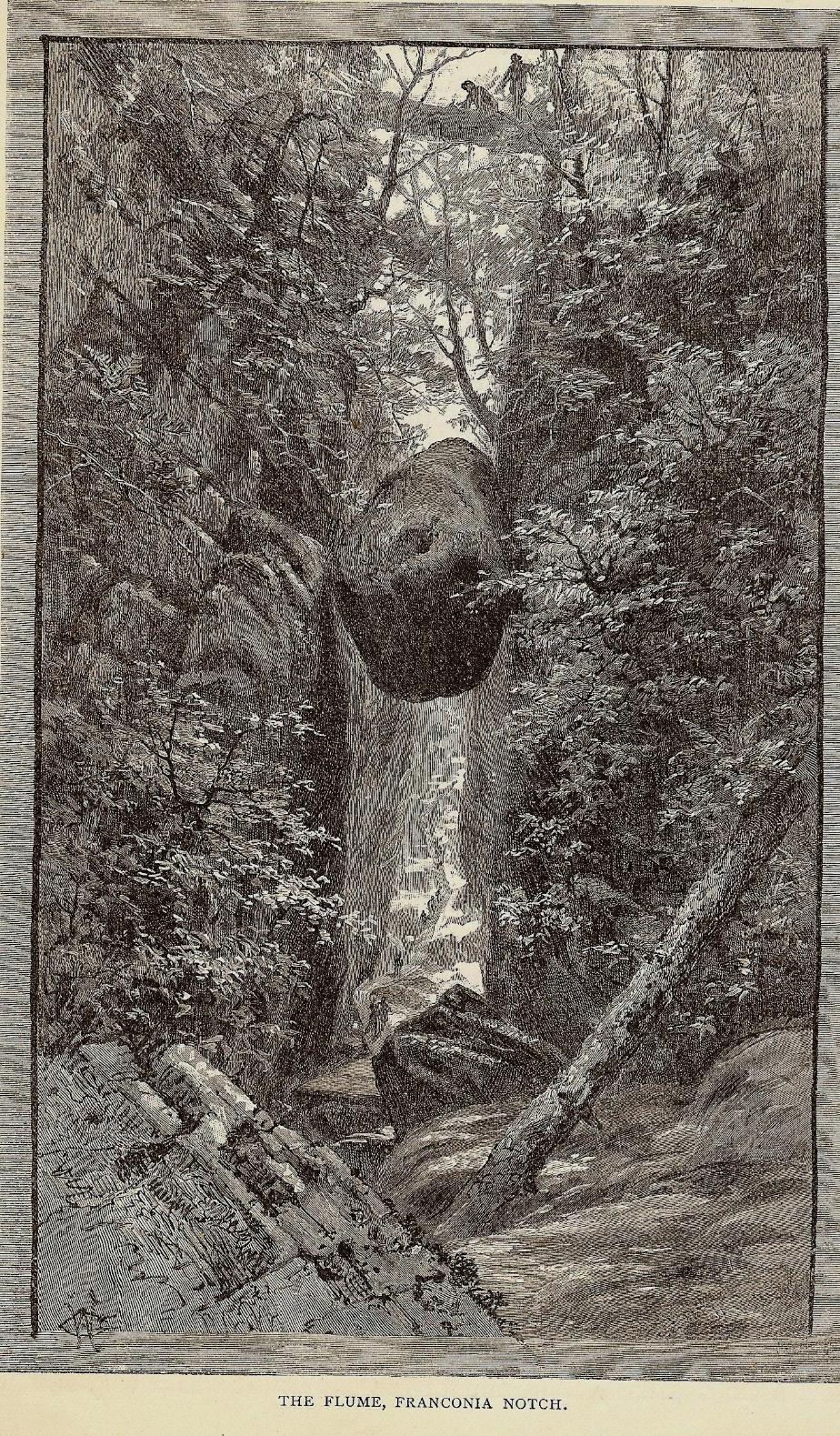 Flume Gorge with Boulder, Franconia Notch