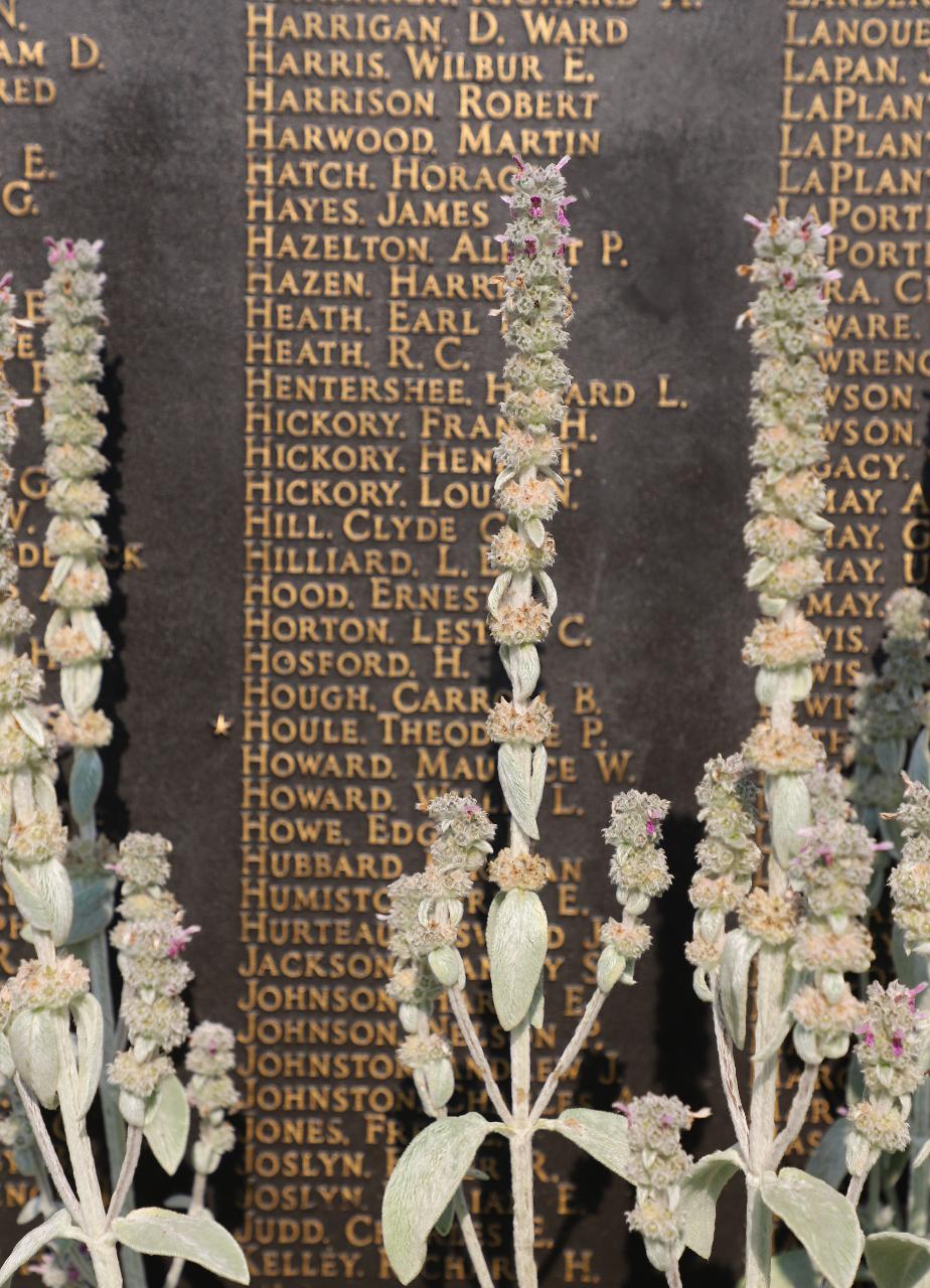 Lebanon New Hampshire WWI Veterans Memorial